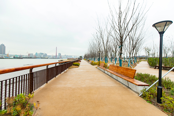 生態(tài)素土 生態(tài)素土